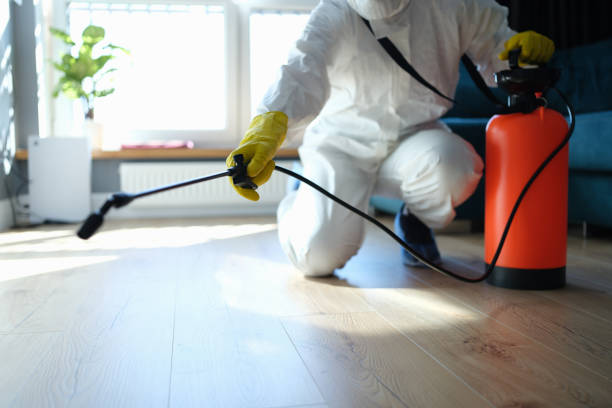 Best Pest Control for Businesses  in Seth Ward, TX