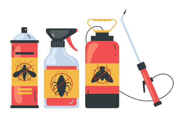 Best Wasp Removal Services  in Seth Ward, TX