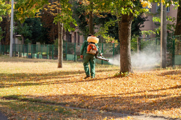 Best Commercial Pest Control Services  in Seth Ward, TX
